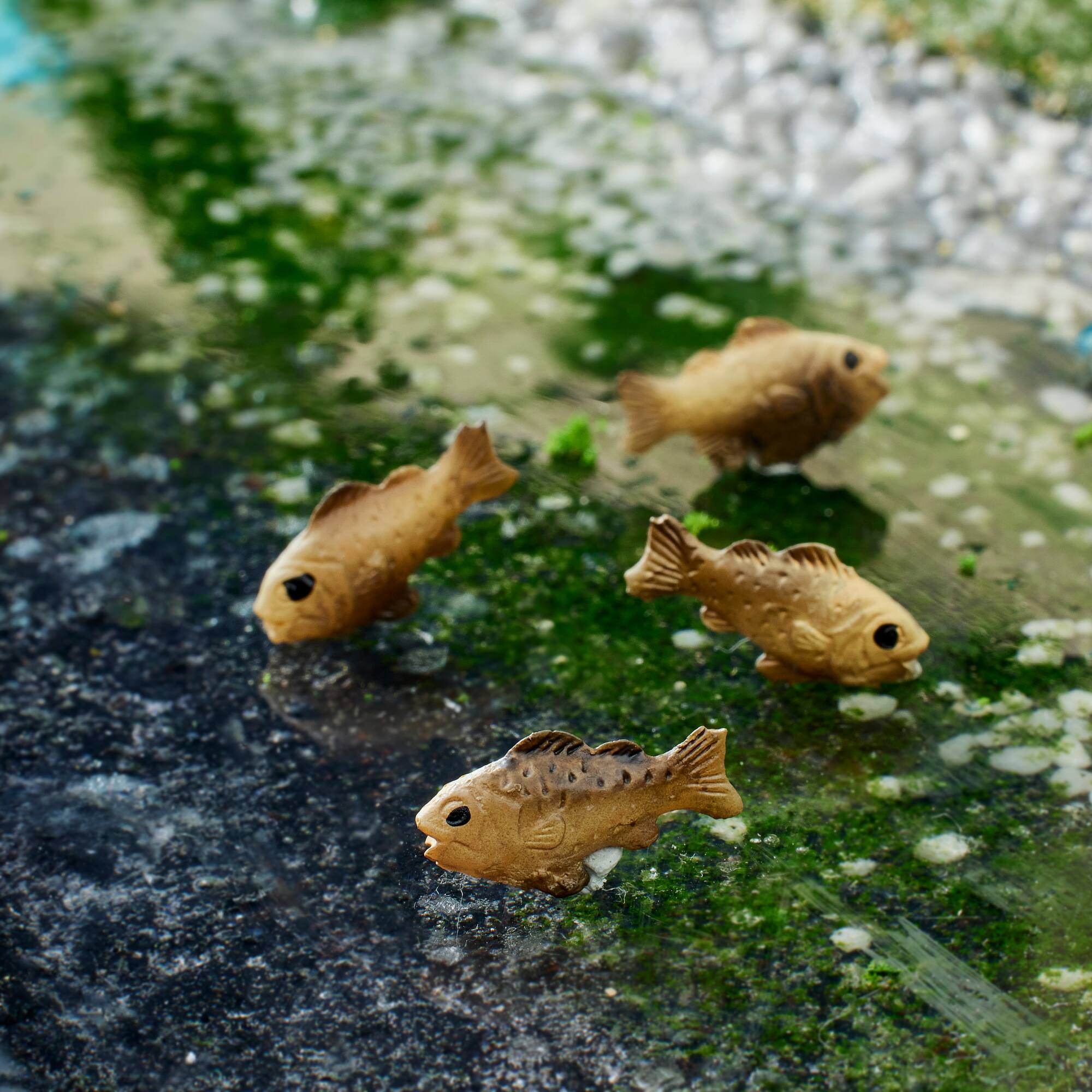 Miniature Fish by Make Market®